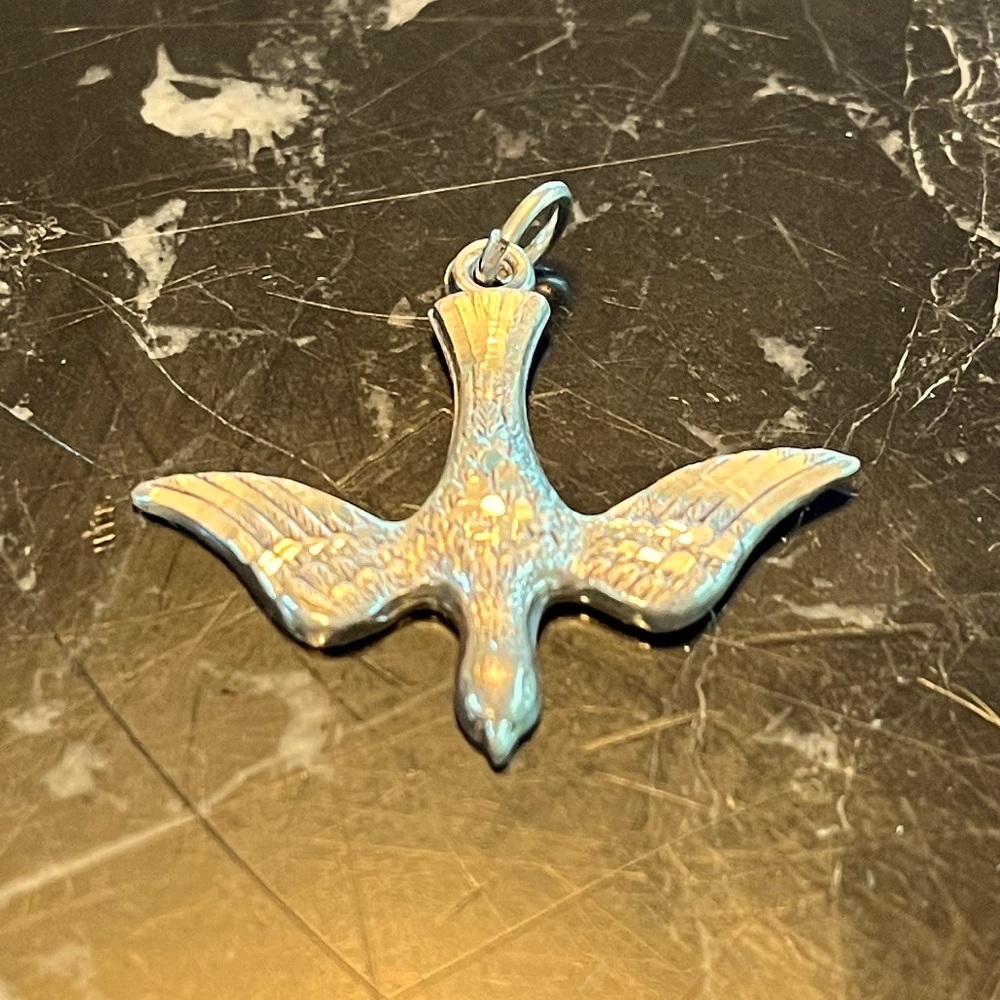 Dove silver charm
